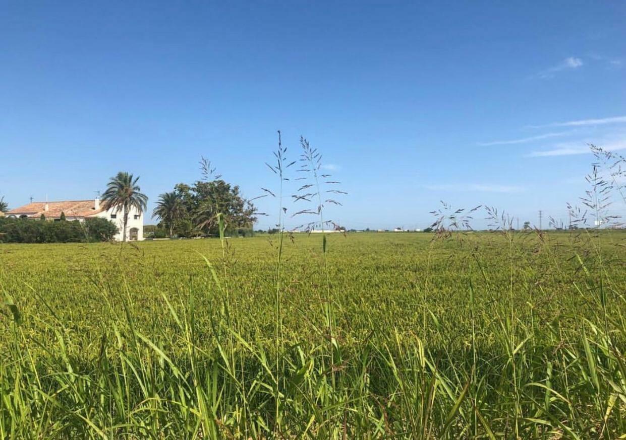 Albergue Delta L'Eucaliptus Ngoại thất bức ảnh